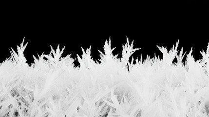 Poster - Winter frosty scene of frozen grass with hoarfrost detail for seasonal backgrounds