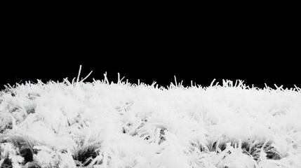 Poster - Frosty winter landscape with hoarfrost-covered grass for seasonal design