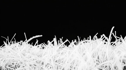 Poster - Frosty winter morning frozen grass hoarfrost texture for seasonal background