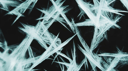 Poster - Intricate ice crystals pattern on black background for winter design