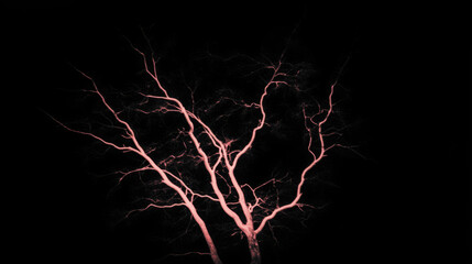Poster - Dramatic lightning striking dark tree silhouette in stormy night