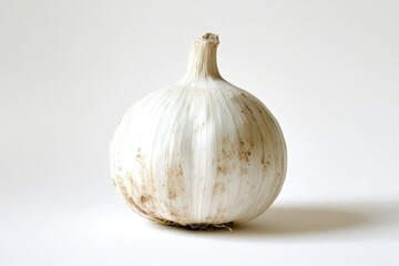 Poster - A single white onion sits on a pure white surface