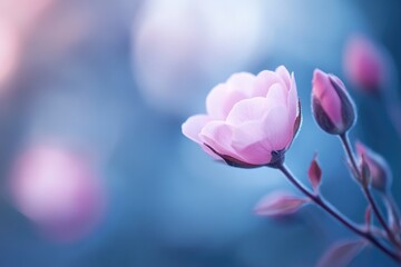 Wall Mural - A single pink flower sits atop a green stem, focused in a tight shot