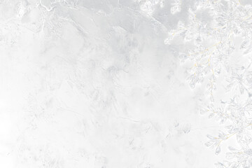 Poster - Icy branches on Transparent background.
