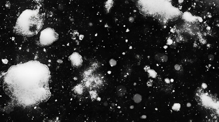 Poster - Macro texture of snowflakes on black background for winter design
