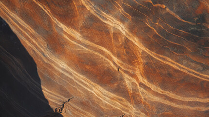 Poster - Abstract natural texture of quartered walnut with straight grain