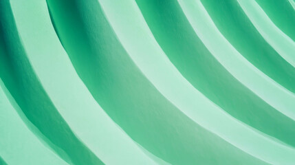 Poster - Abstract texture of rounded horizontal ribbed green paper pattern for design