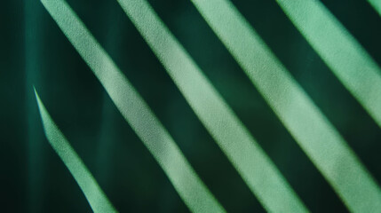Aufkleber - Abstract textured green paper with ribbed pattern for creative background design