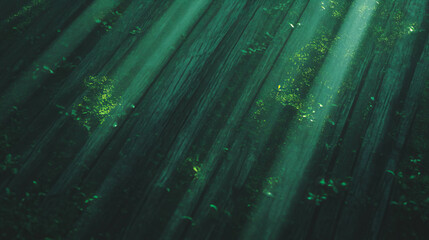 Poster - Ethereal light on mossy wood texture creating a serene natural ambiance