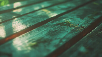 Aufkleber - Rustic wooden surface with soft green moss in sunlit forest setting
