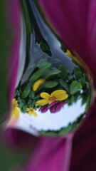 Poster - Dancing Droplet Hues