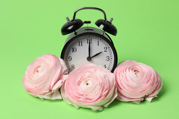 Poster - Spring time. Alarm clock and beautiful ranunculus flowers on green background