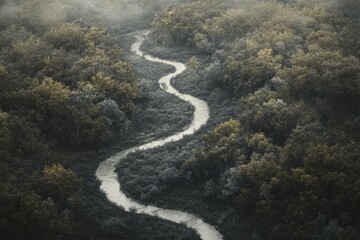 Wall Mural - Serpentine river meanders through a misty, autumnal forest, creating a tranquil scene.