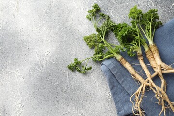 Wall Mural - Parsley roots with leaves on grey table, top view. Space for text