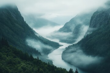 Wall Mural - Serene river flowing through misty mountains at dawn creates a tranquil atmosphere in a remote valley