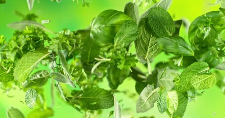 Poster - Super Slow Motion of Flying Fresh Herb Leaves. Filmed on High Speed Cinema Camera, 1000 fps. Camera Placed on High Speed Cine Bot, Rotating. 