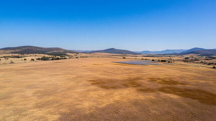 Wall Mural - An aerial view of an extensive solar array in a rural landscape under a clear blue sky.