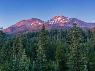 Poster - Majestic snow-capped Mount Shasta mountains at dawn, casting a warm glow on the surrounding forest. Nature's beauty at  California, USA