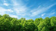 © Teeradej - Lush green forest under bright blue sky with wispy white clouds