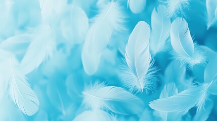 Poster - Soft blue feathers scattered delicately, creating a serene and whimsical atmosphere.