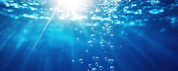 Poster - Sunlight filters through the water's surface, illuminating bubbles rising in a tranquil underwater scene.