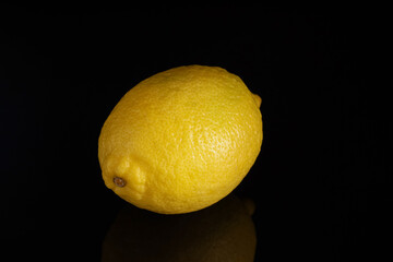 Wall Mural - One fresh lemon on black background, closeup