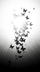 Canvas Print - Fluttering butterflies light silhouette monochrome.