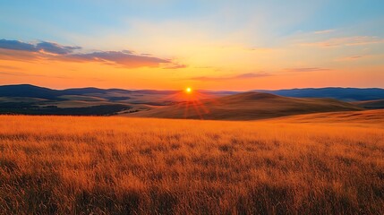 Poster - Sunset over golden fields creates a serene and picturesque landscape.