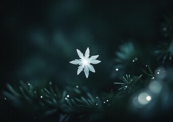 Wall Mural - ethereal white snowflake glowing among pine needles on dark teal background, winter magic