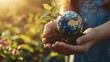 © suzita - Hands Holding Globe with Young Plant in Vibrant Natural Setting