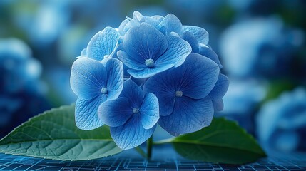 Aufkleber - hydrangea flower design on a bluebackground with architectural blueprint elements symbolizing growth and innovation in technology engineering or architecture