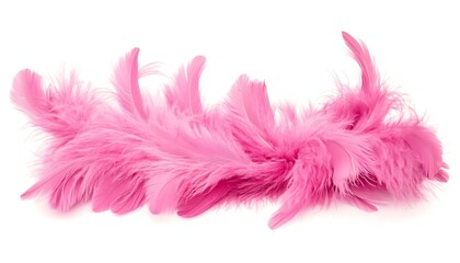 Leinwandbilder - Pink feather boa isolated on white background, party isolated png like style.. Isolated on white background 