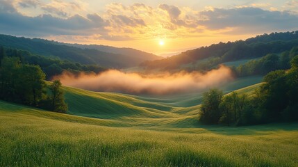 Poster - peaceful countryside with sunlit grass soft morning light misty horizon