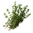© PNG Storm - A Handful of Fresh Thyme Sprigs with Tiny Green Leaves Isolated on Transparent Background