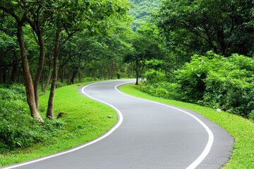Poster - Serene asphalt road winds through lush green forest landscape with vibrant trees and natural grass in daylight