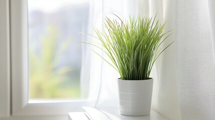 Aufkleber - Serene indoor scene featuring a vibrant green plant in a white pot against a bright window light and sheer curtain