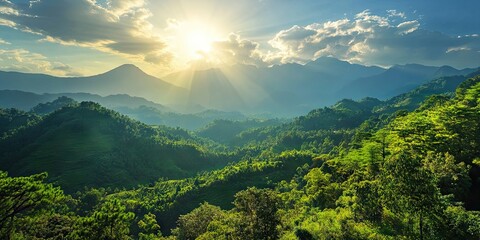 Wall Mural - Lush green mountains under a bright sunrise with rays of light piercing through clouds creating a serene natural landscape in warm tones.