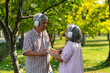 © pixs4u - Joyful Elderly Couple Listening to Music and dance Together in the Park