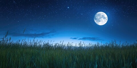 Wall Mural - Illuminated full moon casting a soft glow over a deep blue night sky filled with bright stars above a lush green grassy meadow at twilight
