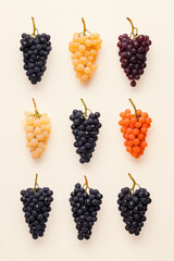 Poster - Minimal geometric layout of grape clusters, each in a different hue, organized in a grid pattern,