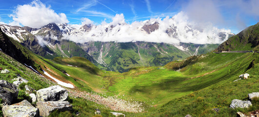 Wall Mural - Idyllic landscape in the Austria Alps with fresh green meadows and blooming flowers and snowcapped mountain tops in the background, Hohe Tauren - Grossglockner High Alpine Road