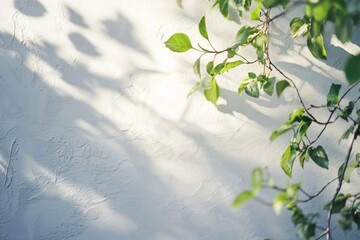 Poster - Light and Shadow Play on a Textured White Wall Adorned With Green Leaves Creating a Serene Atmosphere in a Peaceful Outdoor Setting