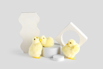 Wall Mural - Decorative podiums with chicks on white background. Easter celebration