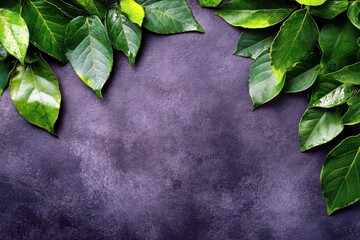 Poster - Fresh Green Leaves on Dark Textured Background Creating Elegant Natural Frame for Invitations, Posters, Social Media, and Creative Design Projects