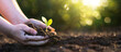 © Maksim Pasko - Child protects green plant. Preservation and care of nature