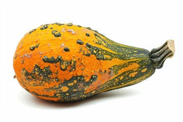 Wall Mural - Hubbard Squash on White Background. Autumn Vegetable Food Isolated Image