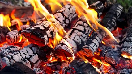 Poster - fire in the fireplace