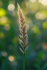 Aufkleber - A close-up shot of a plant with a blurred background, perfect for focusing attention on the subject