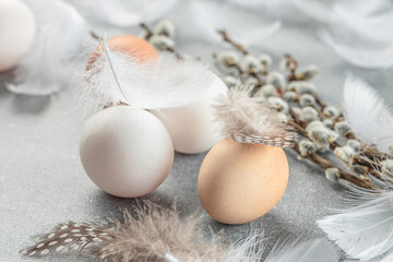 easter composition with a willow branch and eggs on a light background. top view. place for text