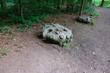 fu 2023-06-08 mungsten 305 im wald steht ein markanter stein
